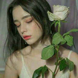 幻想计划手游小米版下载